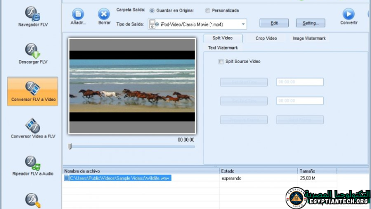 Getflv Pro Portable