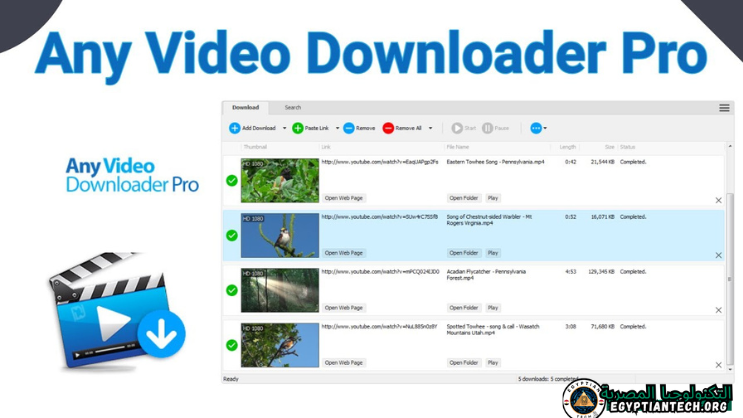 تحميل برنامج Any Video Downloader Pro