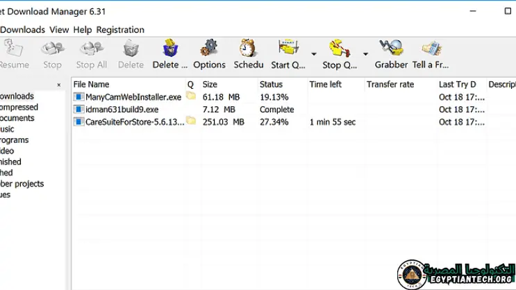 شعار Internet Download Manager يعرض سهم تنزيل، يمثل إمكانيات تنزيل الملفات بكفاءة وسرعة